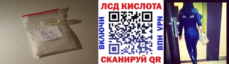 Купить  Дубовка  LSD-25 экстази кислота 