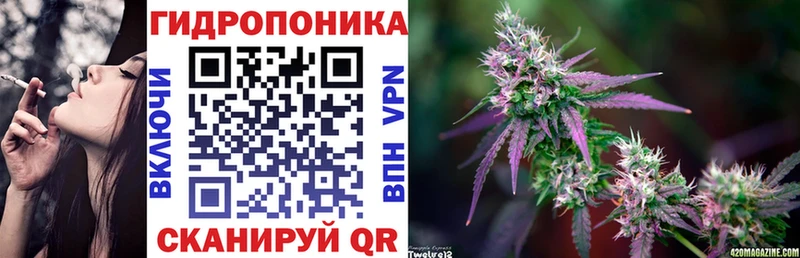 Купить  Дубовка  Шишки марихуана White Widow 